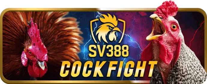 Ưu đãi chào mừng 333vin